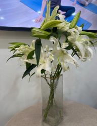 -莫纳瑜伽·普拉提