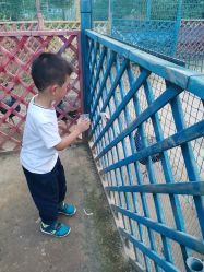 -萌宠亲子动物乐园(槐房万达店)