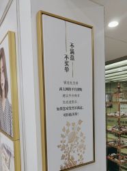 -镁连社·美联社