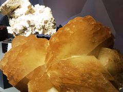 -湖南省地质博物馆