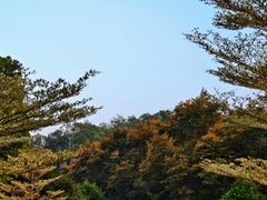 -东莞植物园