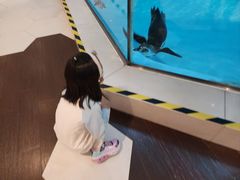 -帝企鹅自助餐厅•儿童岛•真企鹅(长隆企鹅酒店)