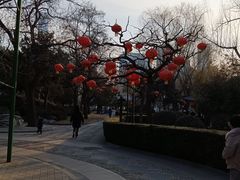 -团结湖公园