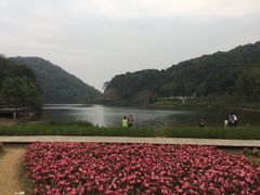 -广州市石门国家森林公园