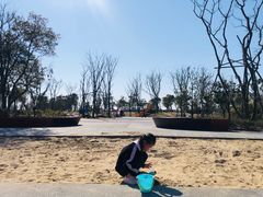 -春花秋色城市公园