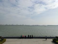-大湾区中央湿地公园