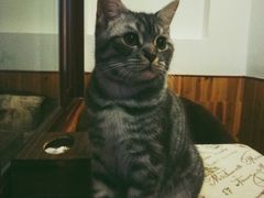 -隅cafe(傅厚岗店)