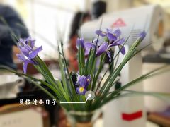 -MAISON门前杂货店