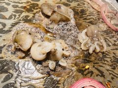 -欢乐牧场海鲜烤肉自助(牡丹园店)