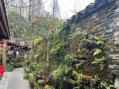 -青城甲(青城山店)