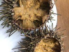 -海胆小馆(东北水饺·春柳店)