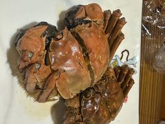 -呼吸森林·生态农庄农家乐私房菜