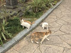-珠海圆明新园