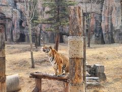 -济南野生动物世界