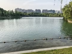 -天鹅湖体育公园