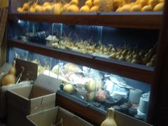 -宝鸡东道花鸟鱼虫市场(吉利花园商场店)
