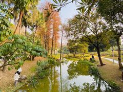 -人民公园(罗湖区)