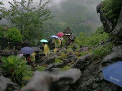 -千岛湖石林