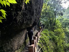 -青城山