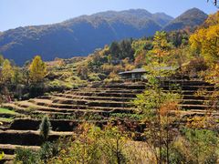 -石台牯牛降景区