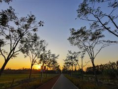 -上海长兴岛郊野公园