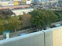 -中环花鸟鱼虫市场