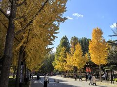 -中国政法大学(昌平校区)