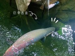 -青青世界