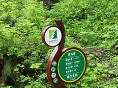 -凤凰山国家森林公园