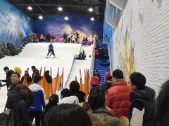 -Mr·Kuma酷么先生雪之乐园