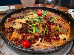 -老板恋上鱼(振华商厦店)