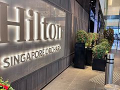 -新加坡乌节希尔顿酒店 (SG Clean)