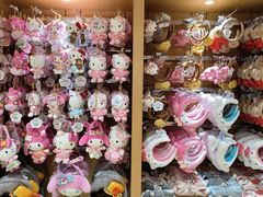 -安吉Hello Kitty乐园