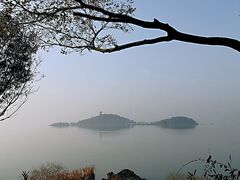 -上海市保健医疗中心