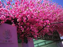 -南汇桃花村