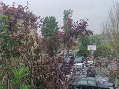 -千龙湖生态旅游度假区