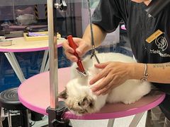 -FAELING PETS美天灵宠物(富力广场店)