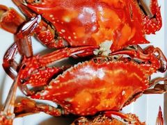 -宾朋海鲜特色美食餐厅·纯手工鲅鱼水饺(兴海路店)