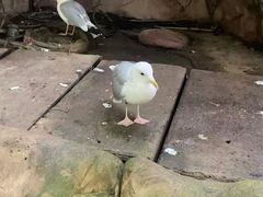 -长鹿旅游休博园