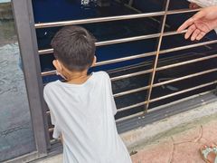 -广东惠东海龟国家级自然保护区