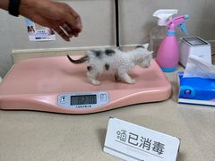 -艾贝尔宠物医院 ·内科全科(梁溪路店)