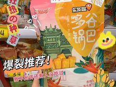 -鹏欣水游城