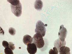-桃园眷村(万象天地店)
