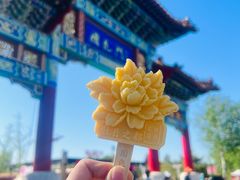 -曹州牡丹园