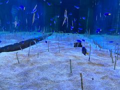-正佳极地海洋世界