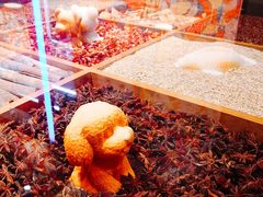 -香天下(悉尼city店)