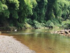 -华蓥山天意谷景区