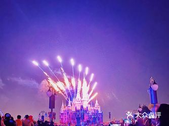 在全世界最欢乐的地方打卡