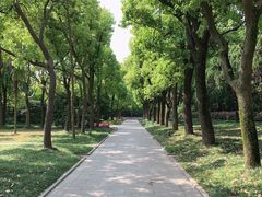 -宋庆龄陵园