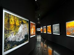 -罗红摄影艺术馆